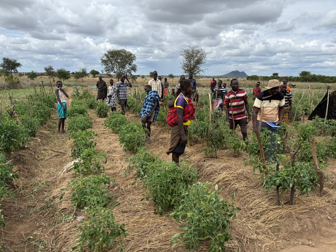 Field visit